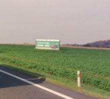 Banner (220-2)